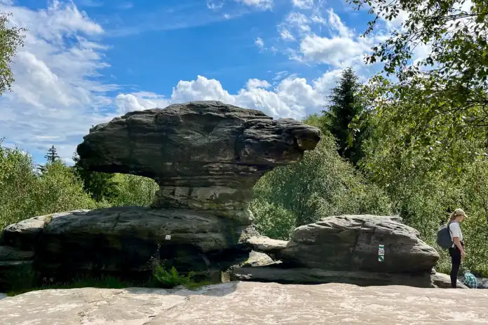 Tisa Rocks - Mushroom and Turtle