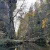 Review Image 5
